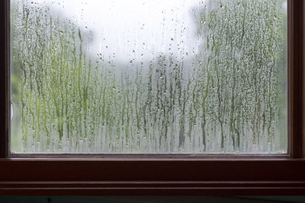 Condensation sur les fenêtres : voici comment l'éliminer rapidement de vos  vitres